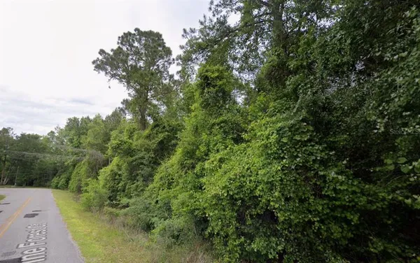 $38,900 | 291 Southwest Pine Forest Court, Lake City, FL 32024