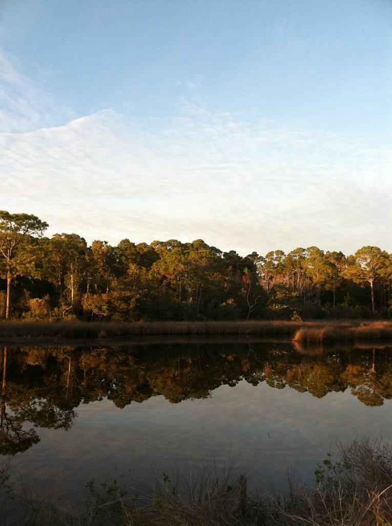 705 3 Rivers Road Carrabelle, FL 32322 - Photo 26 of 27 Gallery Image 26