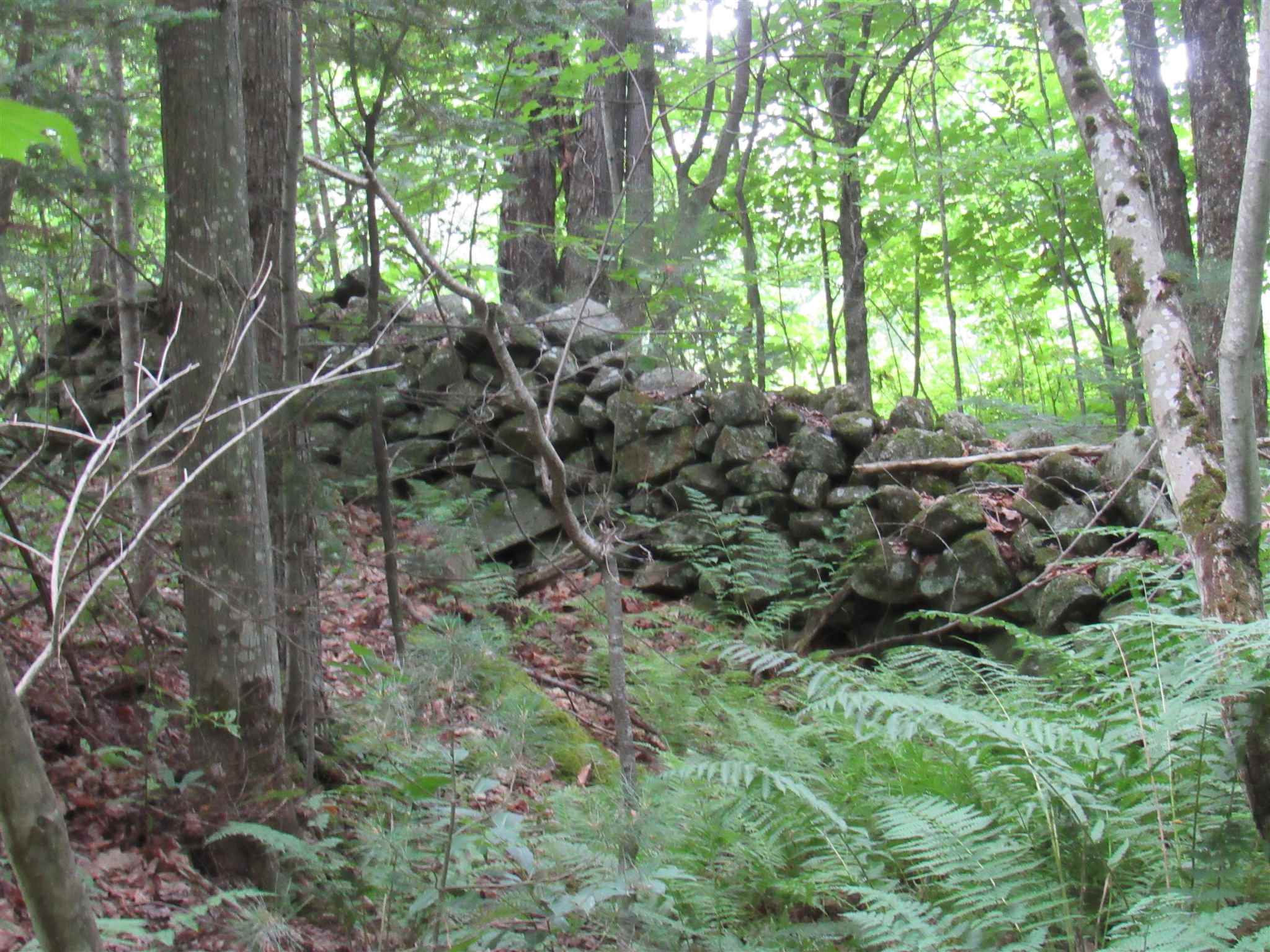 5077 Loop Road Westfield, VT 05874 - Photo 9 of 26