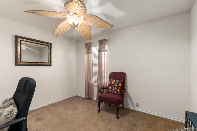 a room with furniture and a potted plant