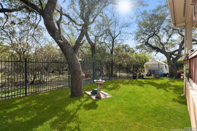 a view of a backyard with table and chairs and a large tree