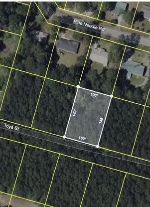 $20,000 | 141 Toya Street, Walterboro, SC 29488