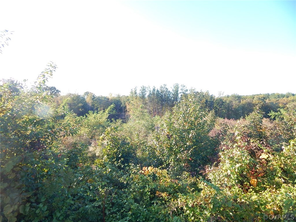 0 Conley Pond Road Farnham, VA 22460 - Photo 2 of 4 a view of a trees in a field