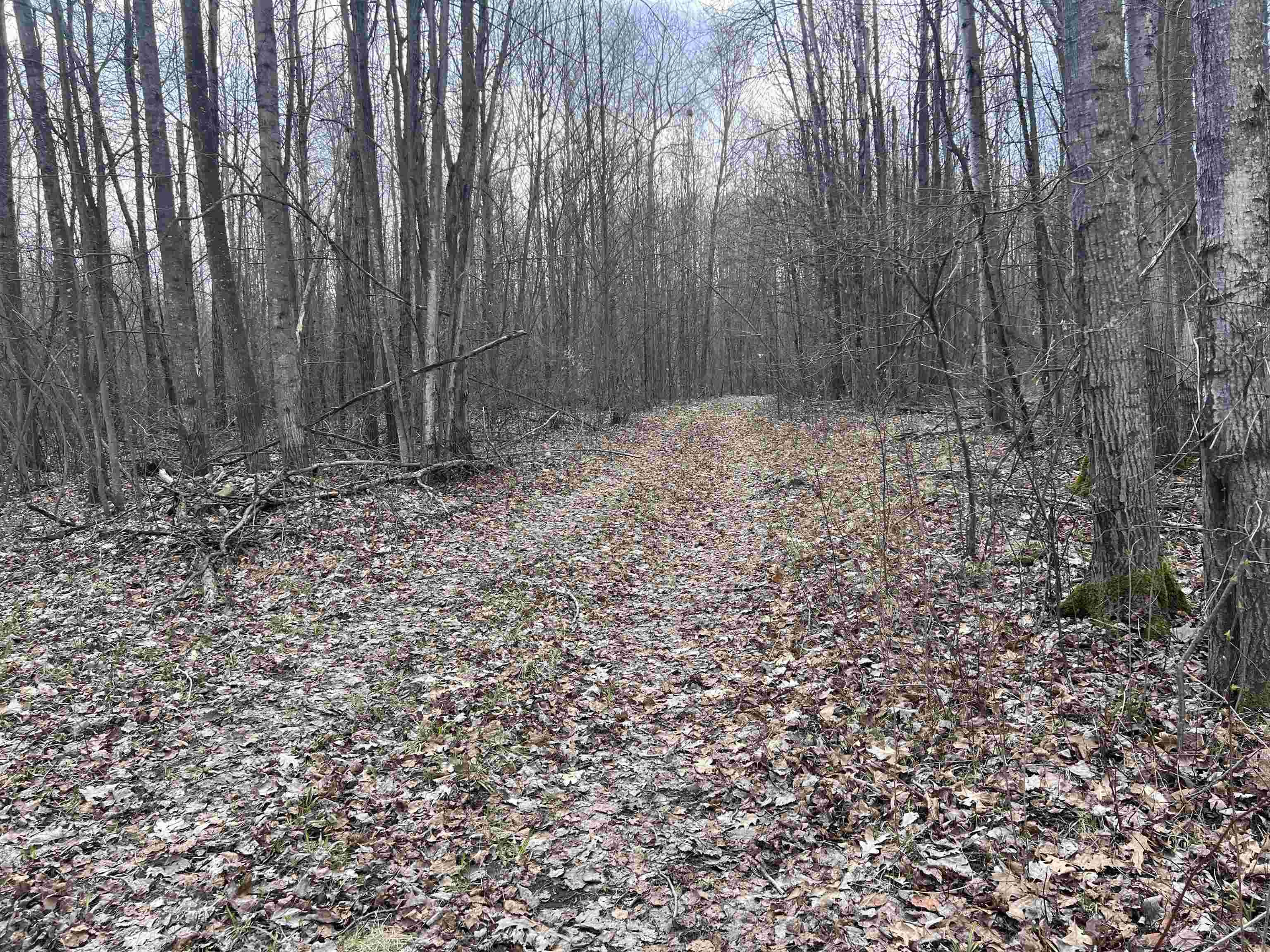 1350 Birch Road Harrison, MI 48625 - Photo 9 of 31 Gallery Image 9
