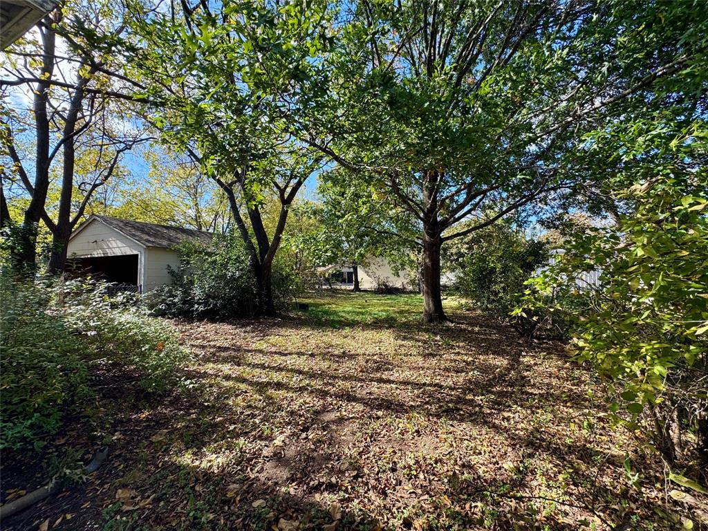 807 North Marable Street West, TX 76691 - Photo 21 of 27 a view of backyard with large trees
