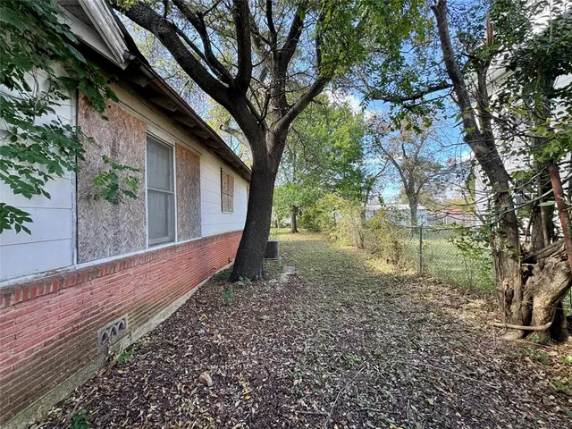 a view of backyard with tree