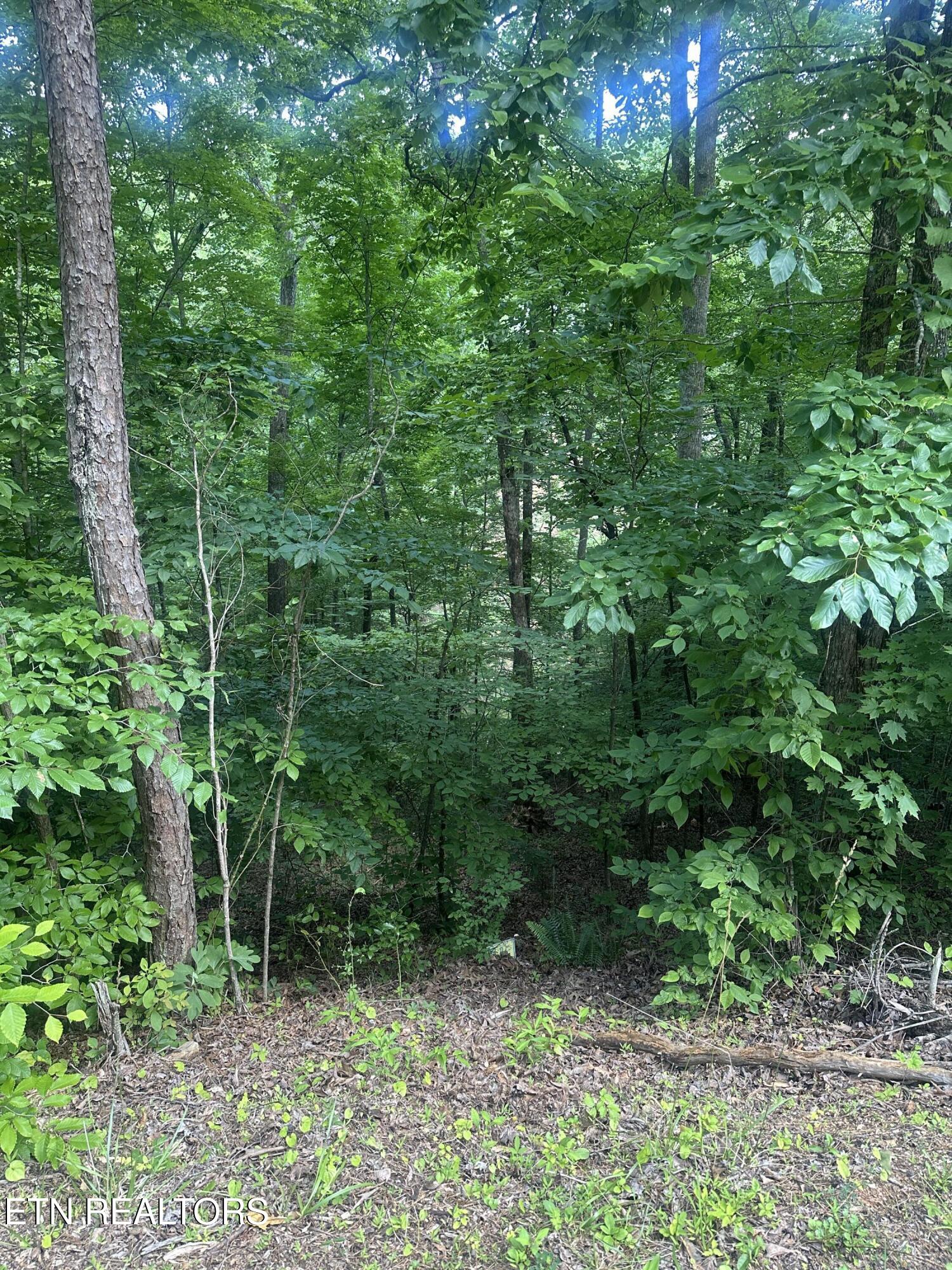 Hiwassee View Jacksboro, TN 37757 - Photo 10 of 16 jacksboro 9