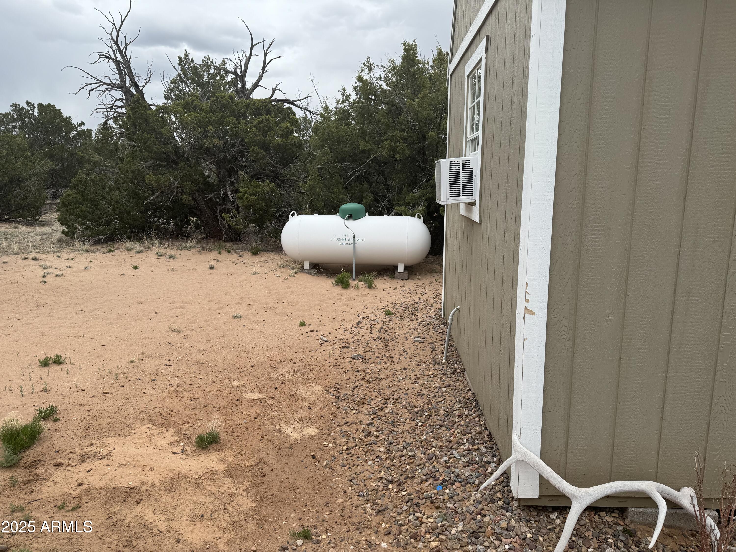 Lot 64 Sierra Mountain Ranch, Unit 64 St. Johns, AZ 85936 - Photo 25 of 38 a view of a backyard