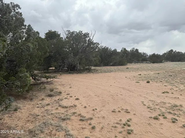 $100,000 | Lot 64 Sierra Mountain Ranch, Unit 64, St. Johns, AZ 85936