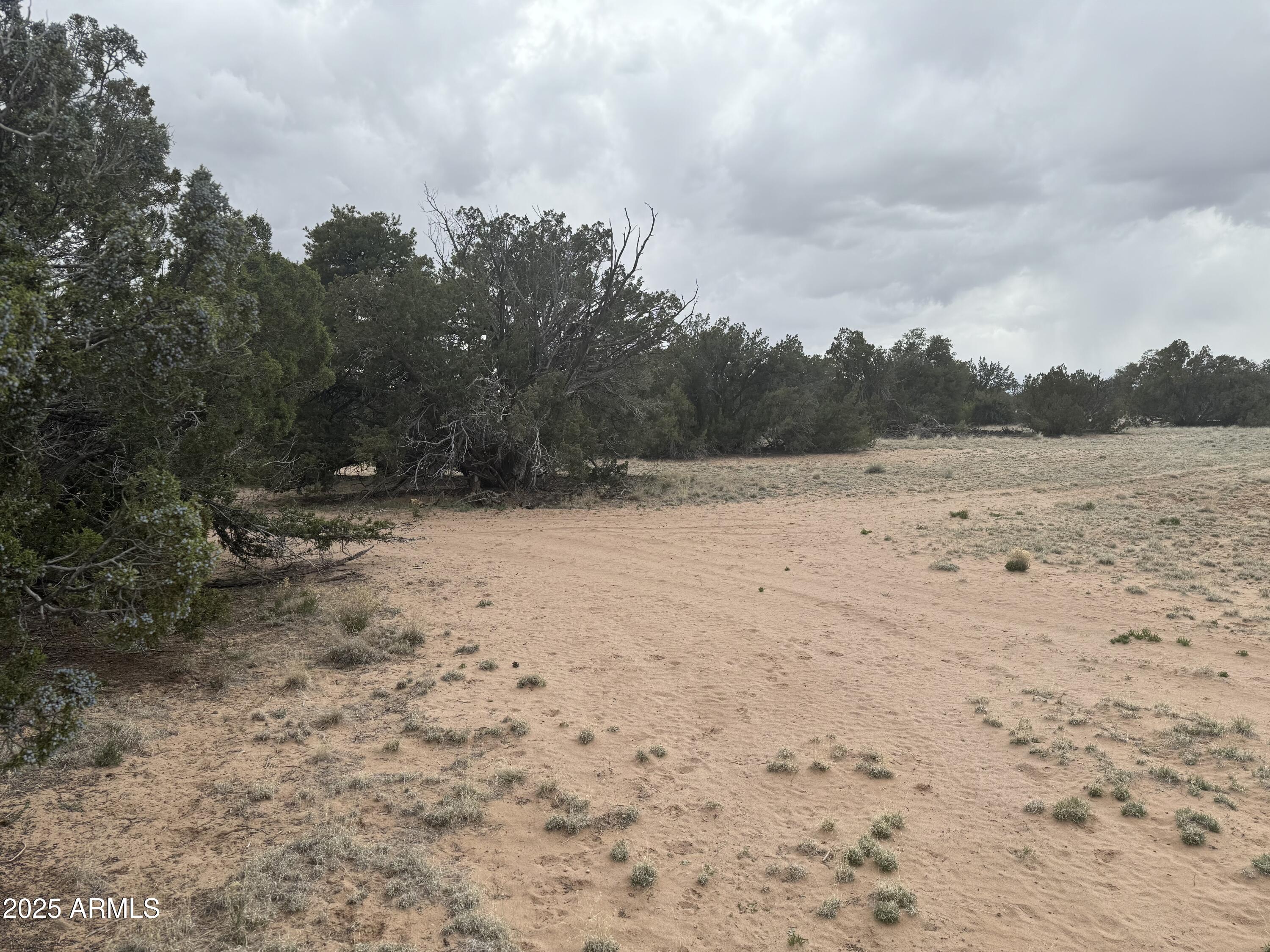 Lot 64 Sierra Mountain Ranch, Unit 64 St. Johns, AZ 85936 - Photo 31 of 38 a view of outdoor space with mountain view