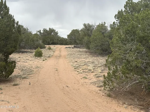 $100,000 | Lot 64 Sierra Mountain Ranch, Unit 64, St. Johns, AZ 85936