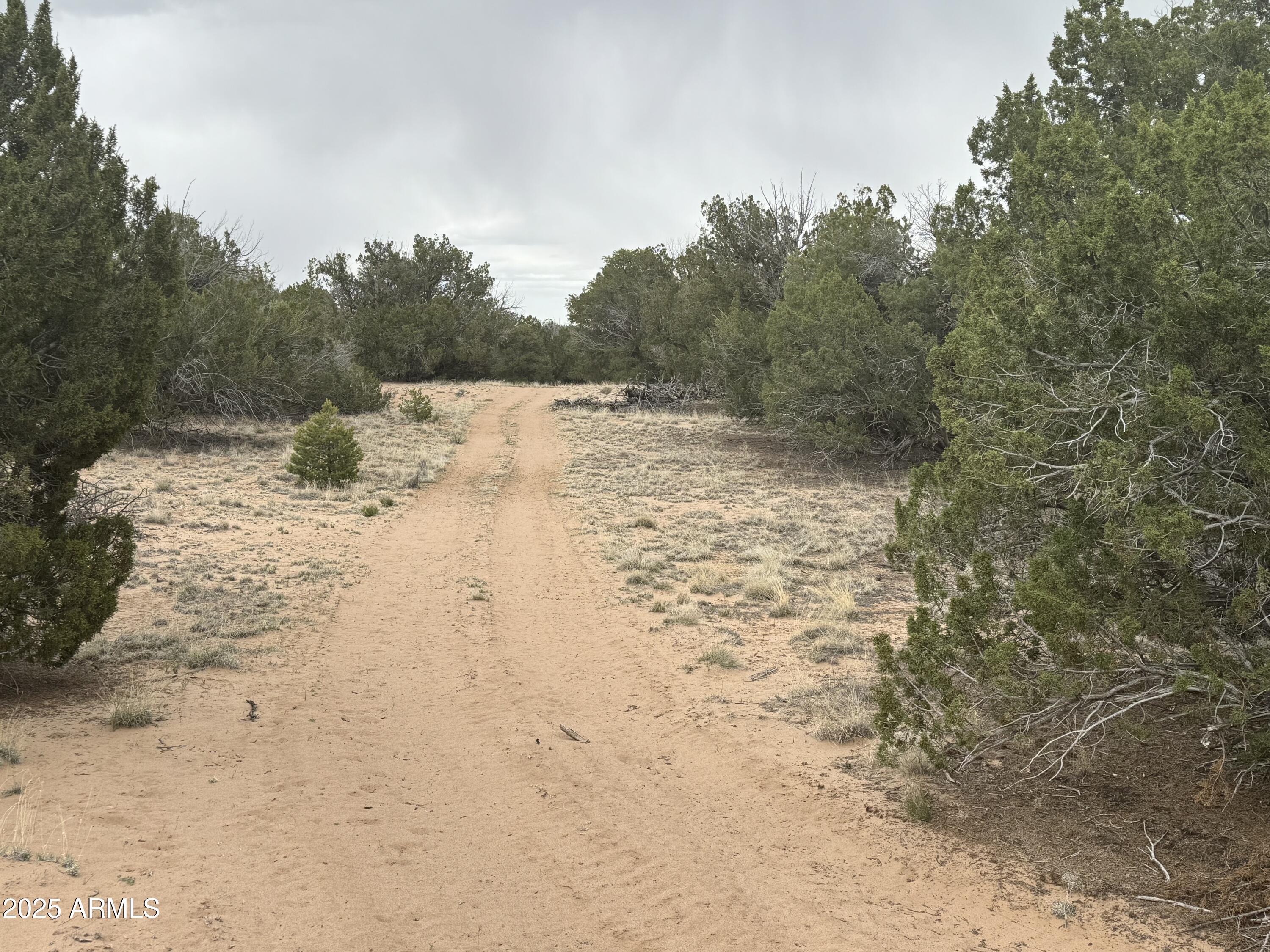 Lot 64 Sierra Mountain Ranch, Unit 64 St. Johns, AZ 85936 - Photo 35 of 38 a view of a yard covered in snow