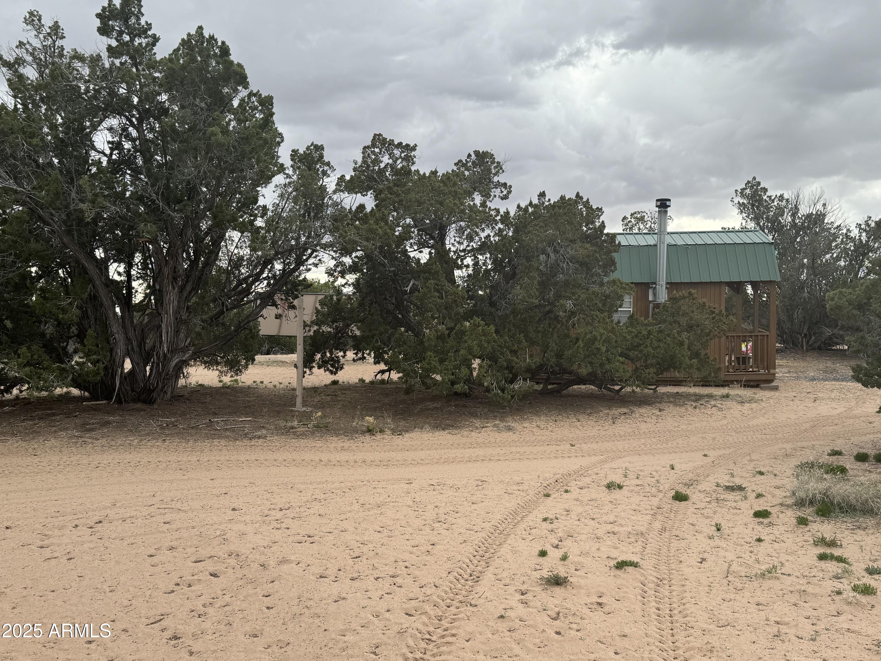 Lot 64 Sierra Mountain Ranch, Unit 64 St. Johns, AZ 85936 - Photo 37 of 38 a view of a yard with plants and trees