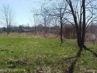 13822 Lone Tree Road Milford, MI 48380 - Photo 23 of 24 Almost 6 Acres of Useable Land