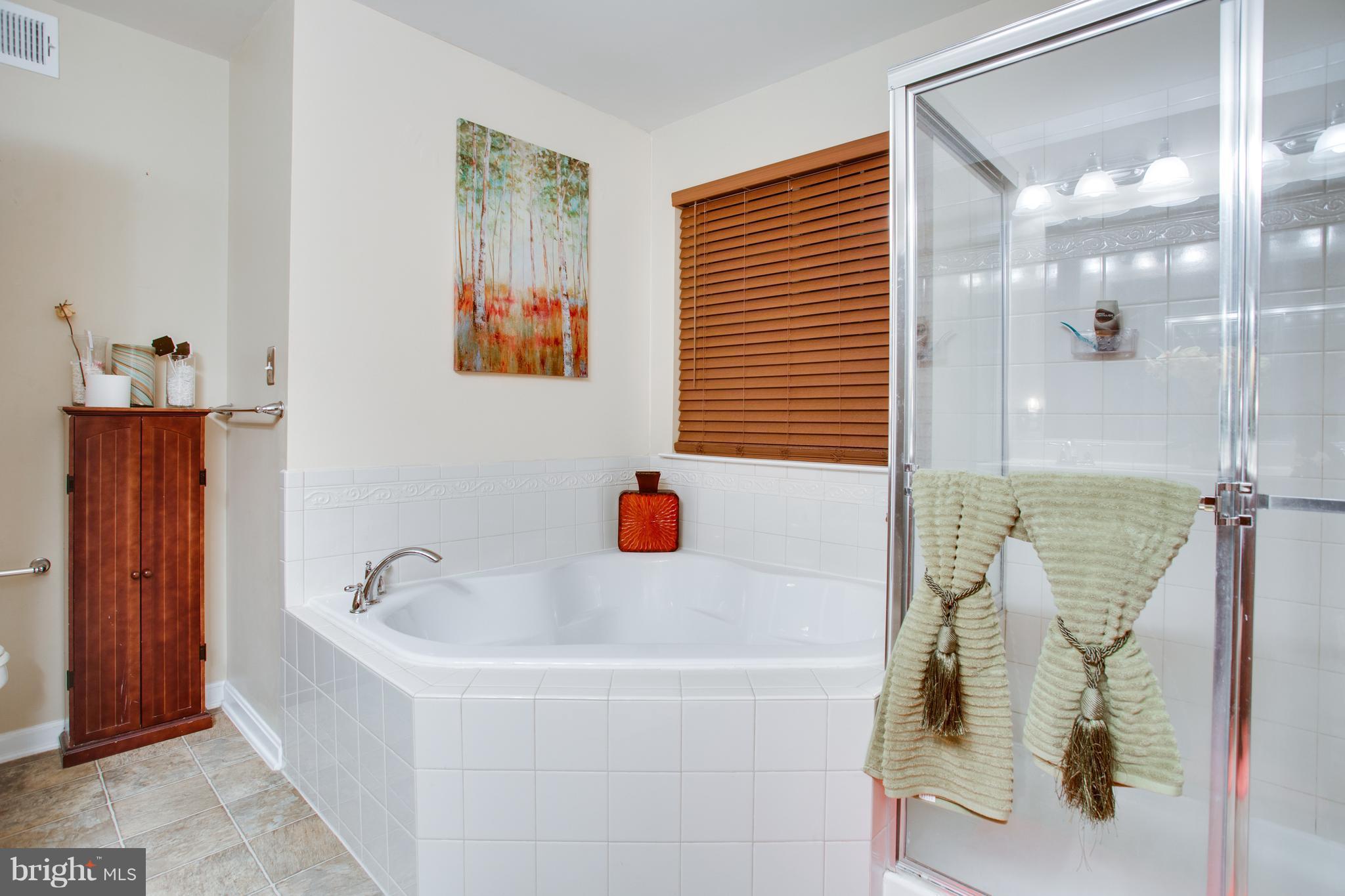 15710 Chadsey Lane Brandywine, MD 20613 - Photo 23 of 30 Bath (Master)