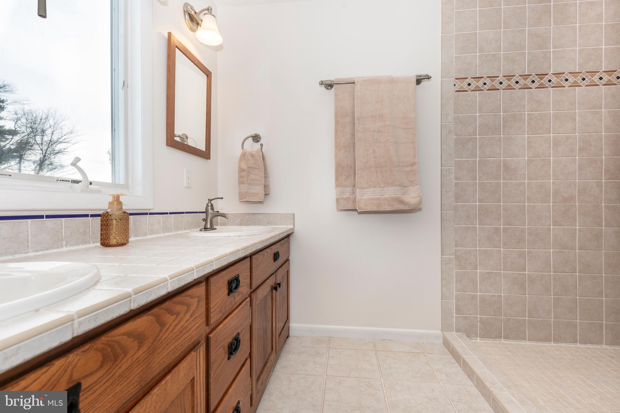 4316 Utz Road Hampstead, MD 21074 - Photo 27 of 82 a bathroom with a granite countertop sink a shower and a mirror