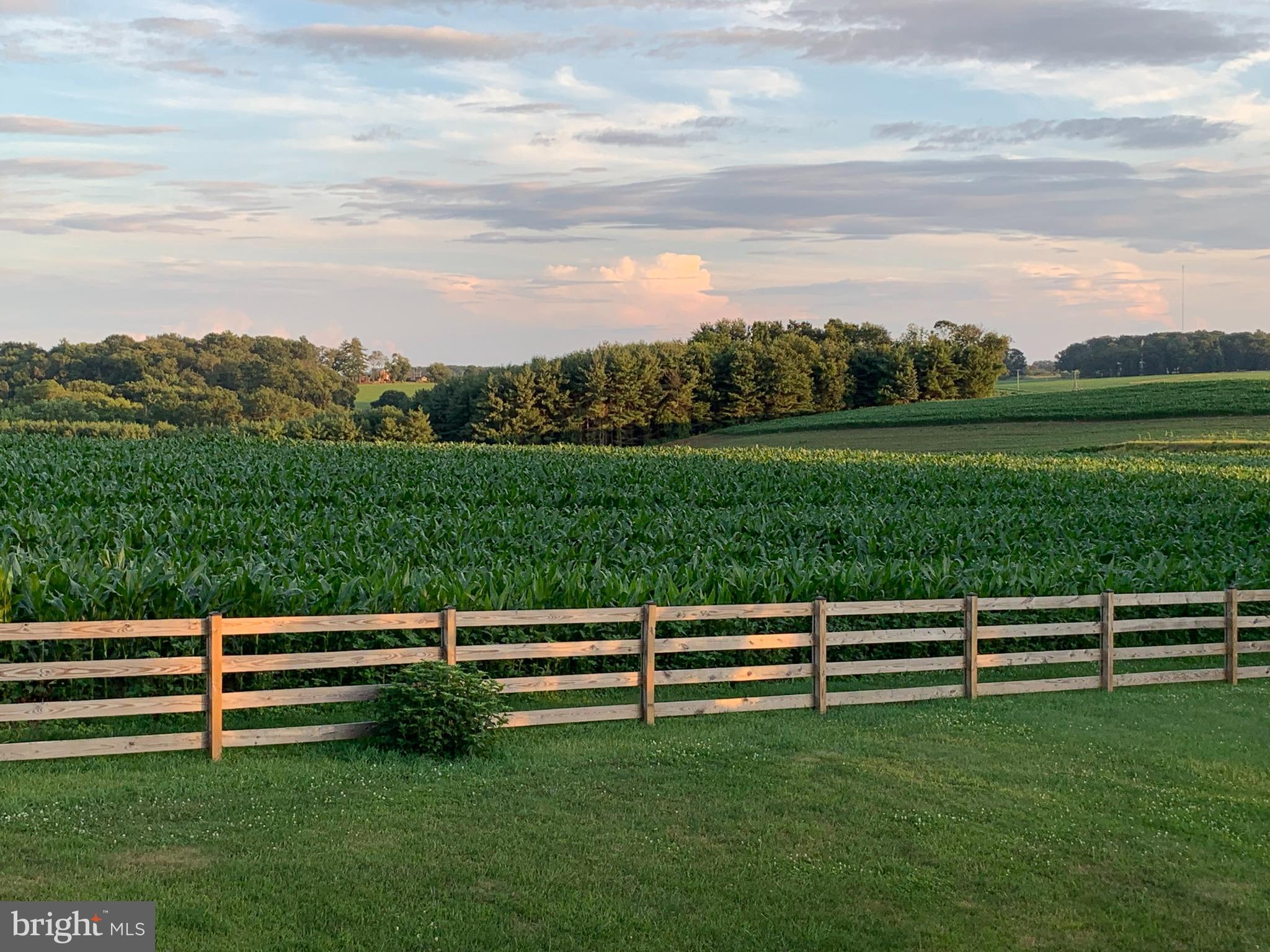 4316 Utz Road Hampstead, MD 21074 - Photo 3 of 8