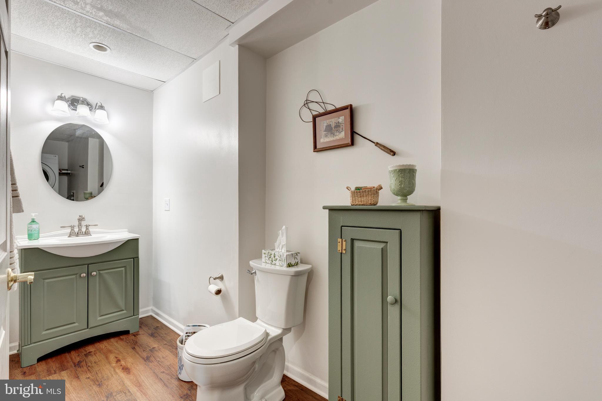 4316 Utz Road Hampstead, MD 21074 - Photo 40 of 82 a bathroom with a toilet a sink and mirror