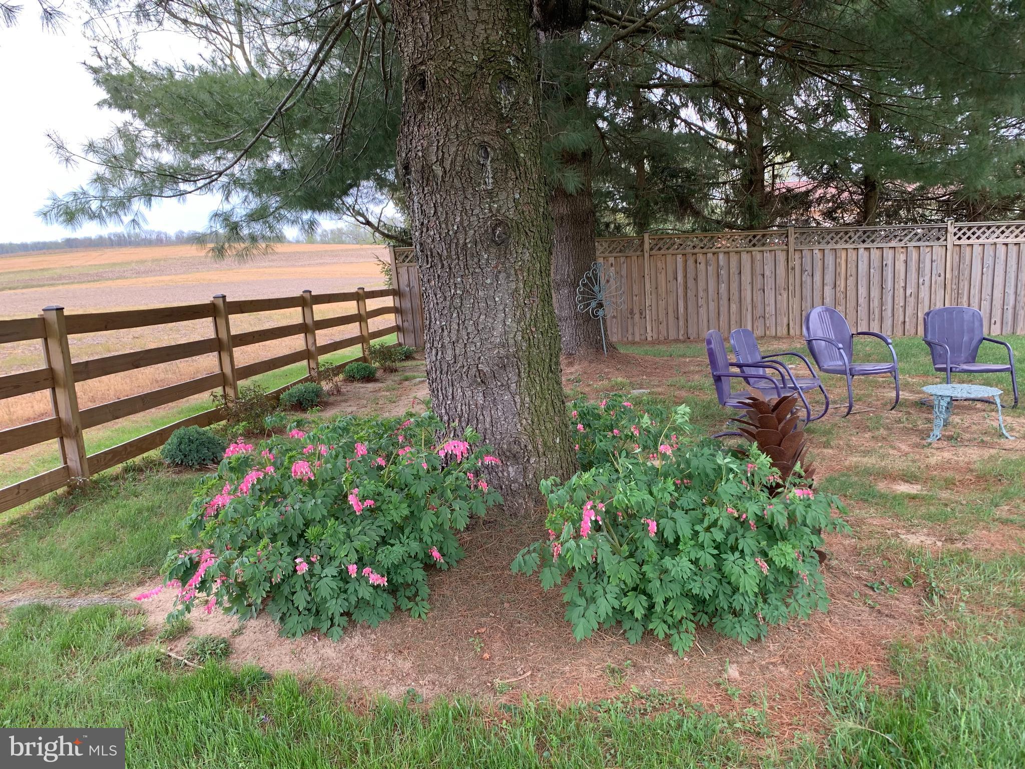 4316 Utz Road Hampstead, MD 21074 - Photo 79 of 82