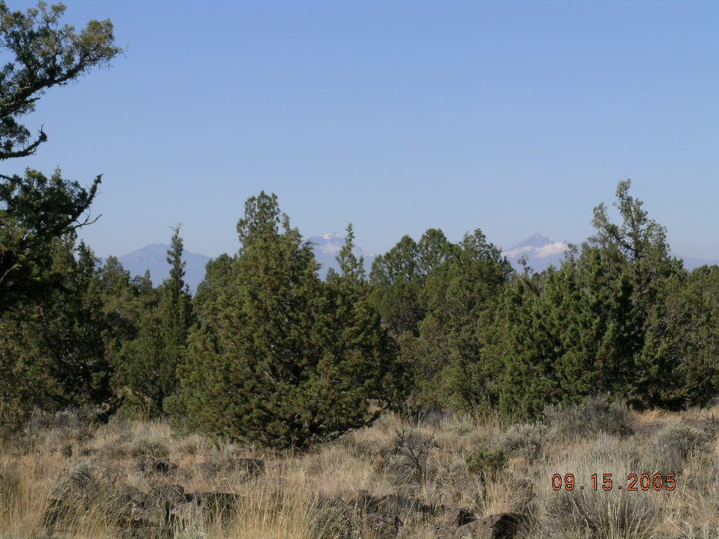 16901 Southwest Mount Adams Loop Powell Butte, OR 97753 - Photo 7 of 10 DSCN0383