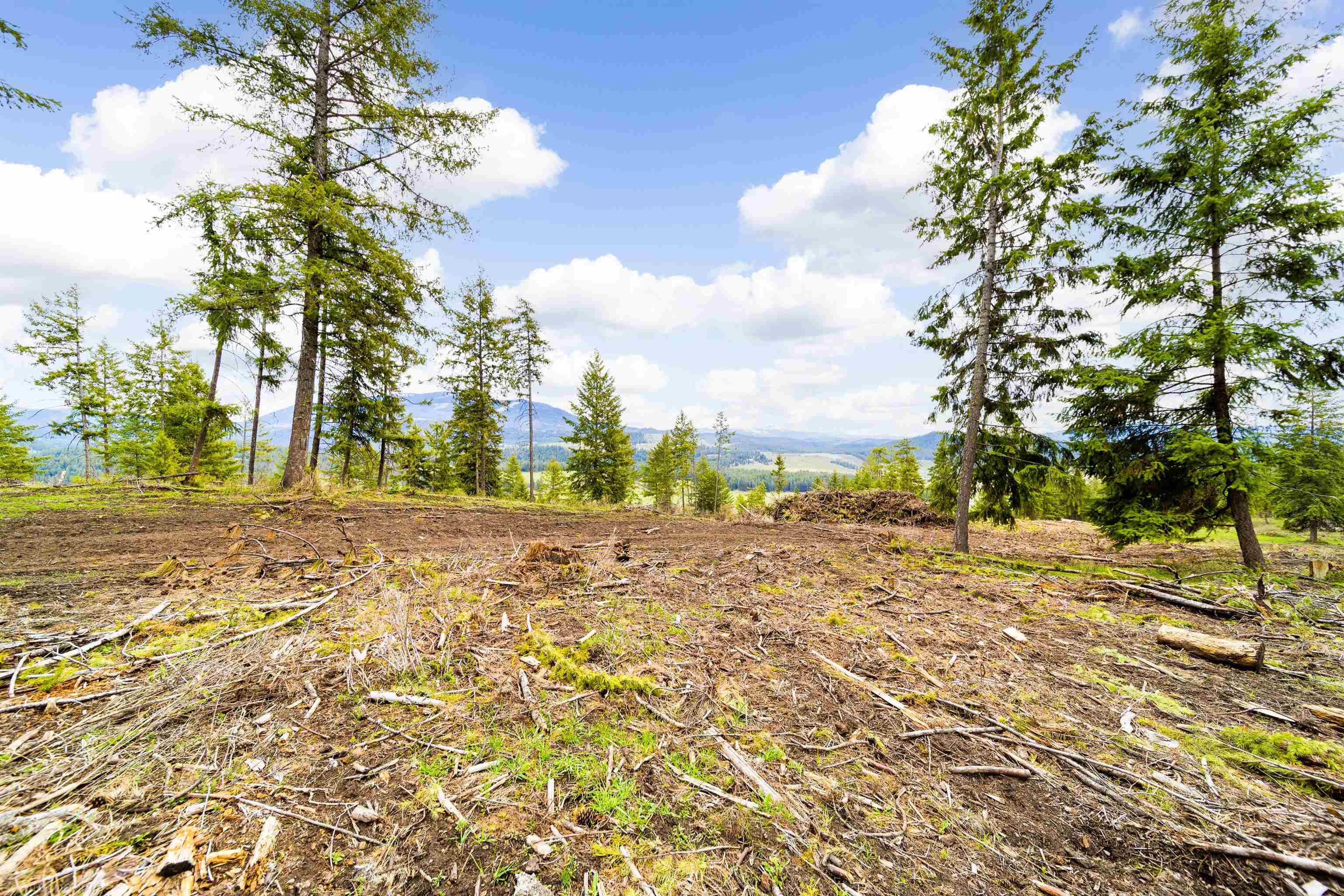 267 Aladdin Road, Unit C Colville, WA 99114 - Photo 36 of 37