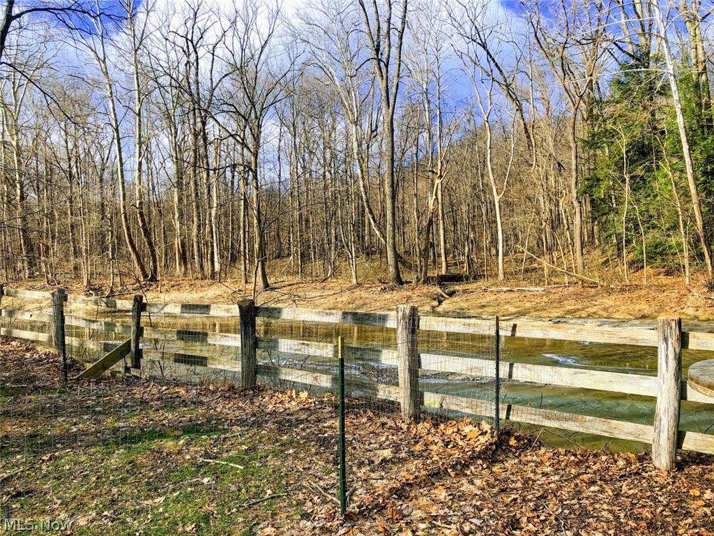 6576 Fay Road Painesville, OH 44077 - Photo 9 of 29 Gallery Image 9