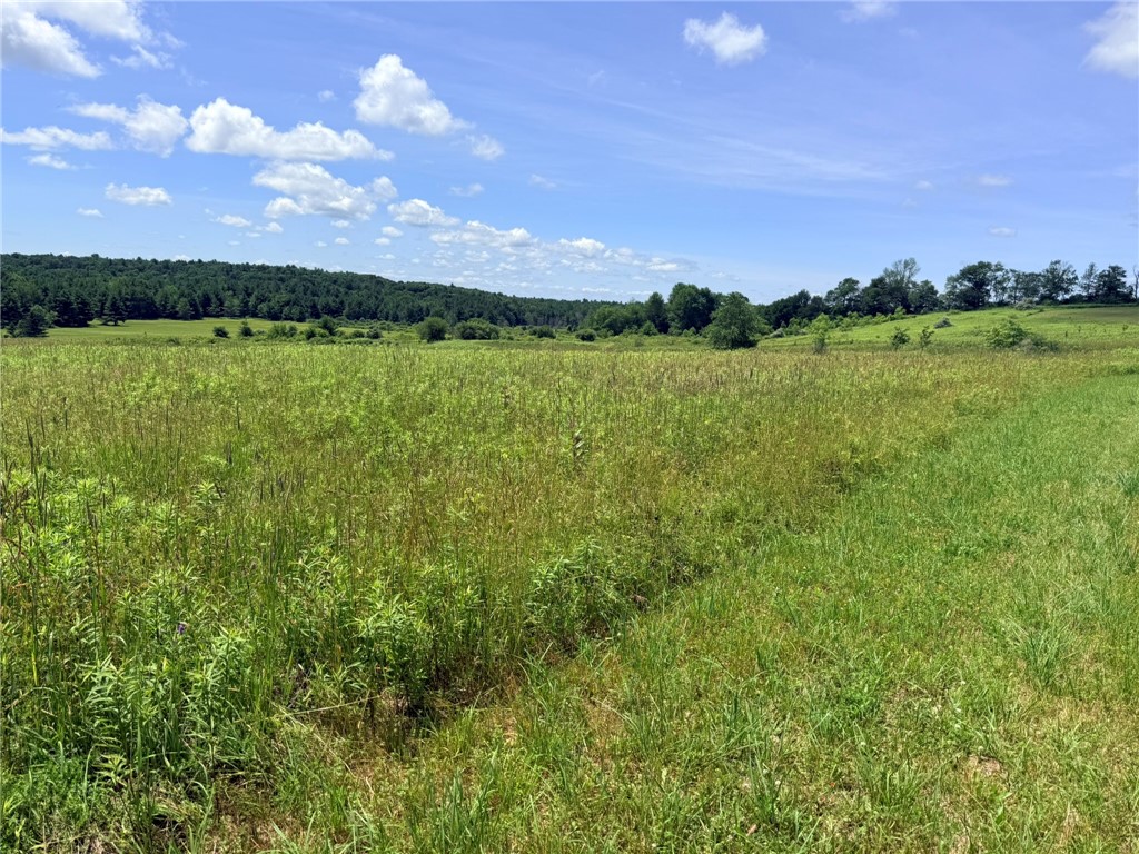 L19 North Pond Road Guilford, NY 13780 - Photo 6 of 19