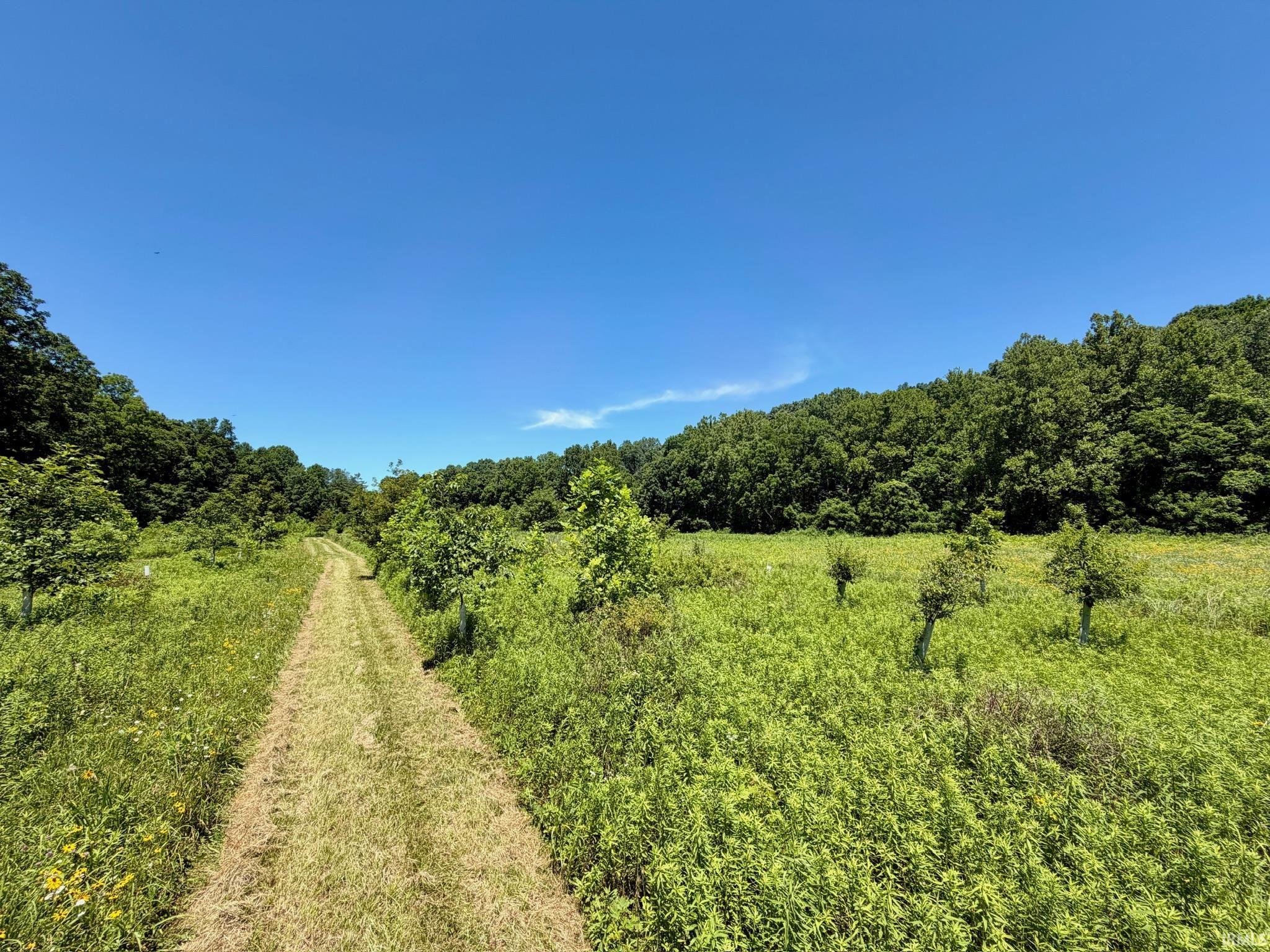 Tbd Newark Road Solsberry, IN 47459 - Photo 21 of 28