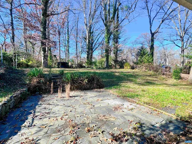 a view of backyard with outdoor and green space