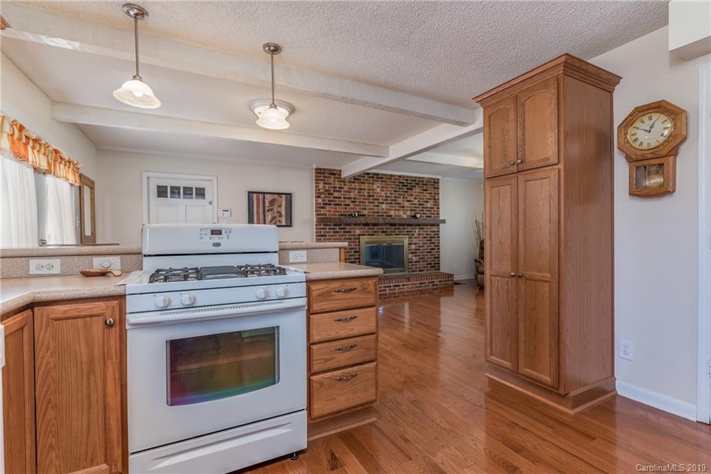 1051 Hugh Champion Road Tryon, NC 28782 - Photo 6 of 30
