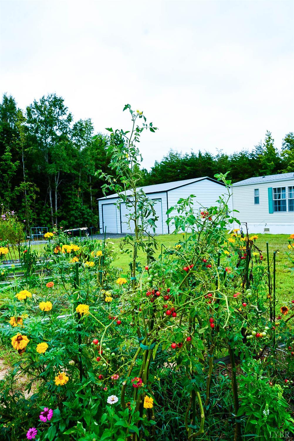 3052 Mt Laurel Road Clover, VA 24534 - Photo 3 of 35