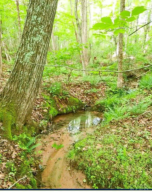 3052 Mt Laurel Road Clover, VA 24534 - Photo 33 of 35