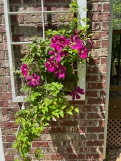 4015 Pilgrim Trail Greenbrier, TN 37073 - Photo 69 of 76