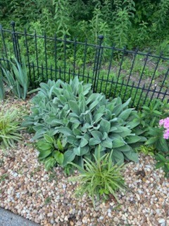 4015 Pilgrim Trail Greenbrier, TN 37073 - Photo 76 of 76