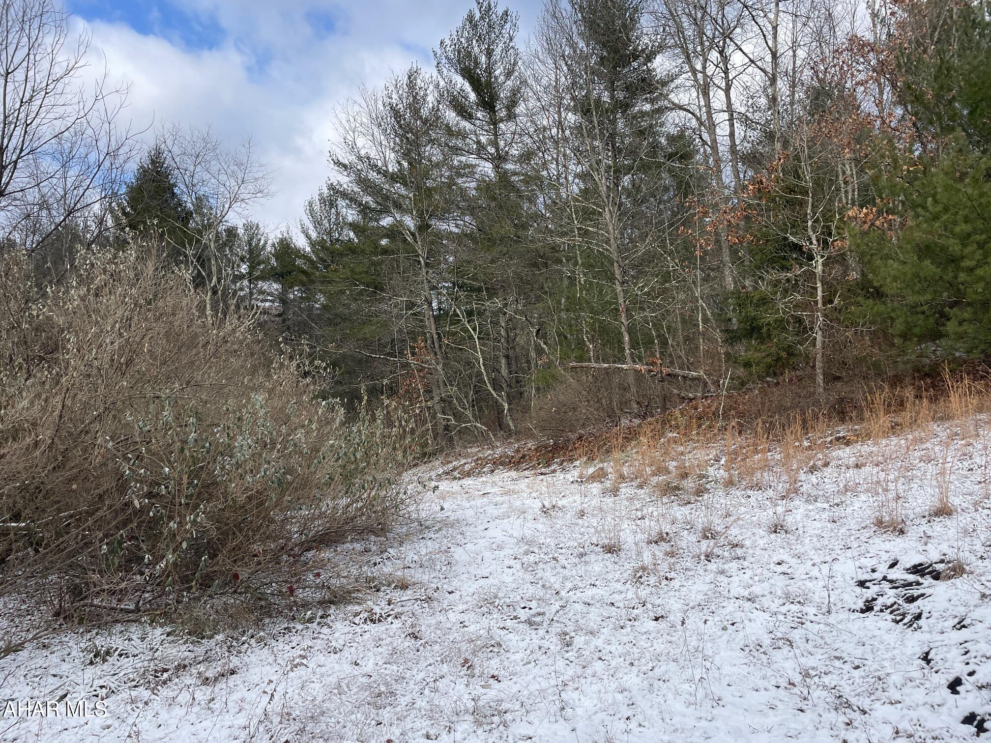 Lot Duvall Duvall Road Crystal Spring, PA 15536 - Photo 3 of 6