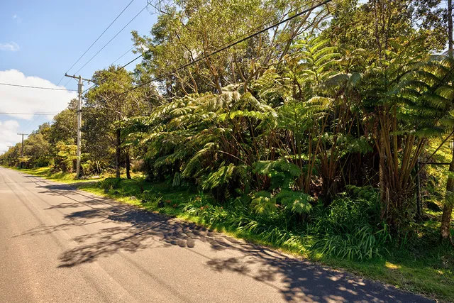 a backyard of a house with lots of green space