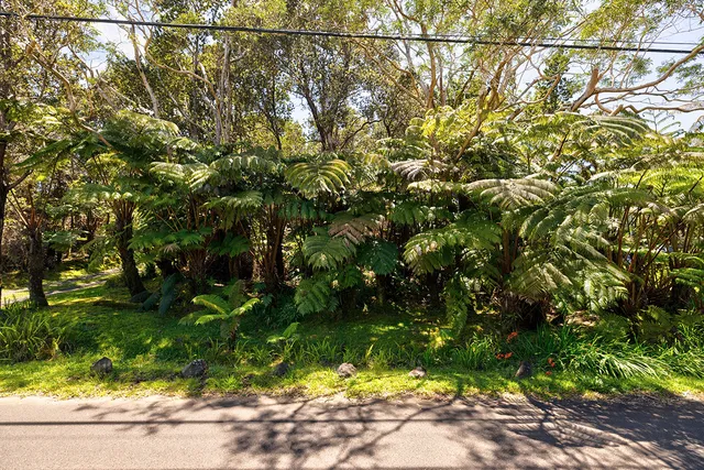 $55,000 | Lot 53-8-138 Lot 53-8-138 Liona Street, Volcano, HI 96785