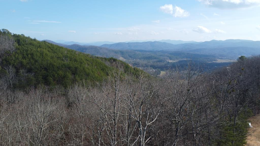 Lot 14 Patriot Ridge Murphy, NC 28906 - Photo 11 of 25
