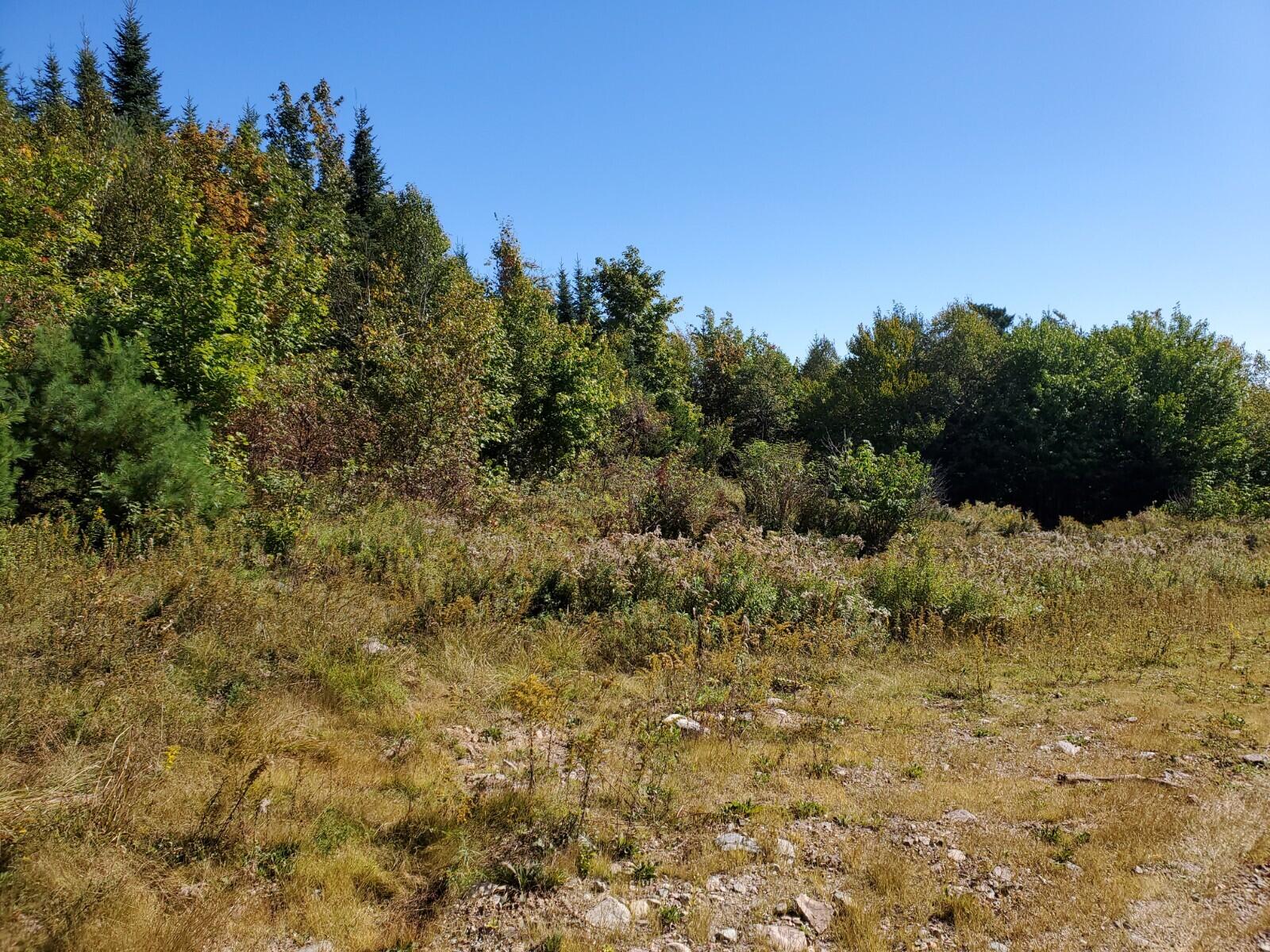 125 A Bugby Road Robbinston, ME 04671 - Photo 8 of 10 20210921_122312