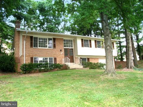 a view of a yard in front of a house with plants and large tree
