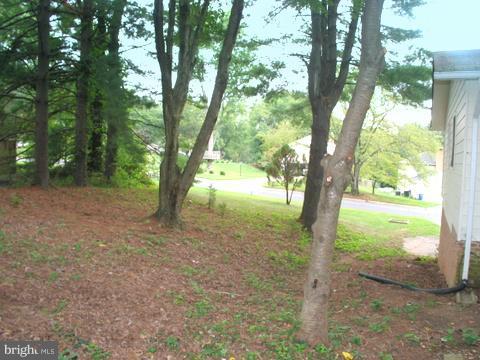9700 Brookford Road Potomac, MD 20854 - Photo 29 of 29 a view of outdoor space and trees