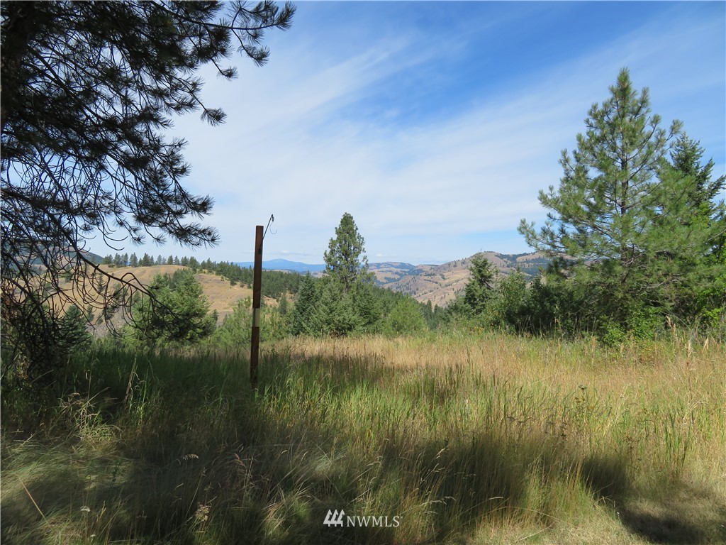 14 Snowberry Ridge Road Curlew, WA 99118 - Photo 14 of 16 Gallery Image 14