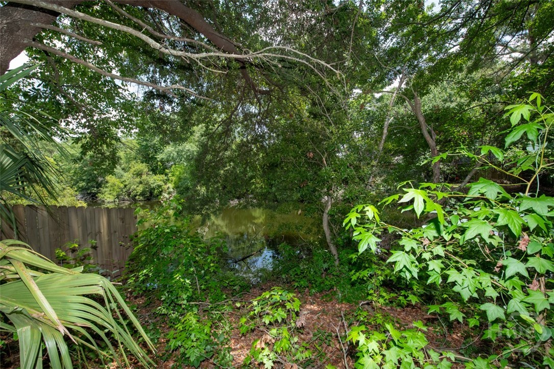 104 Ropemaker Lane Savannah, GA 31410 - Photo 40 of 40 View of Lagoon From Rear Yard