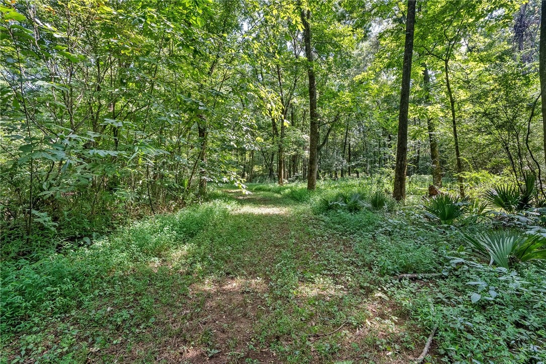 6669 West Farmville Road Waverly, AL 36879 - Photo 24 of 41 Creek Trail