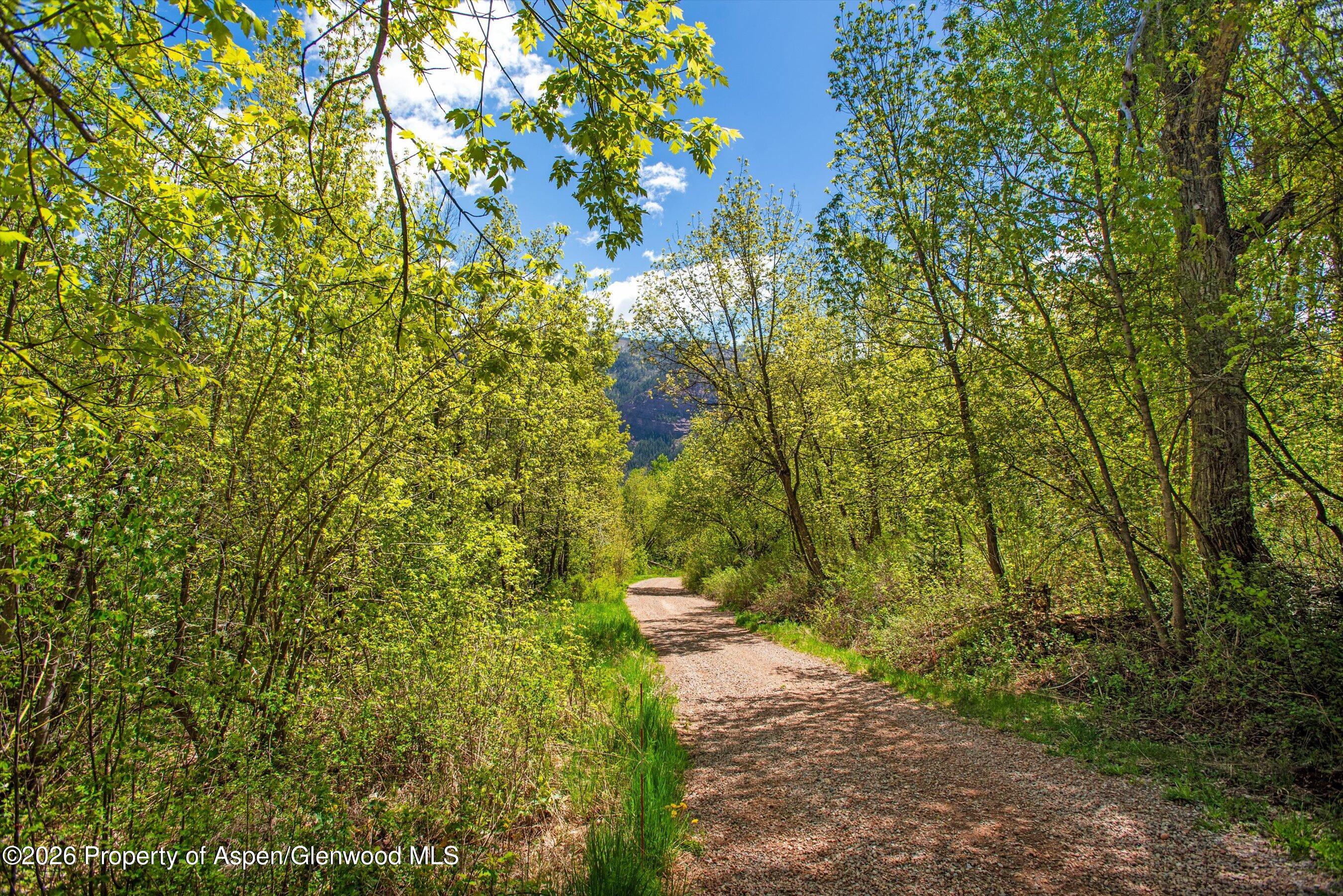Tbd Coal Creek Road Carbondale, CO 81623 - Photo 5 of 12 08-CoalCreekRd_250520008