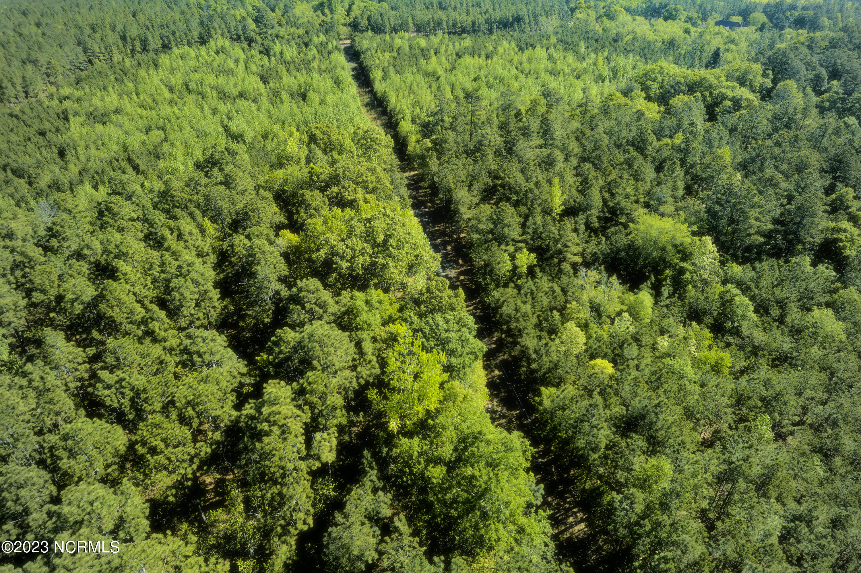Tbd Tbd Mcfarland Road Laurel Hill, NC 28351 - Photo 1 of 41 Aerial