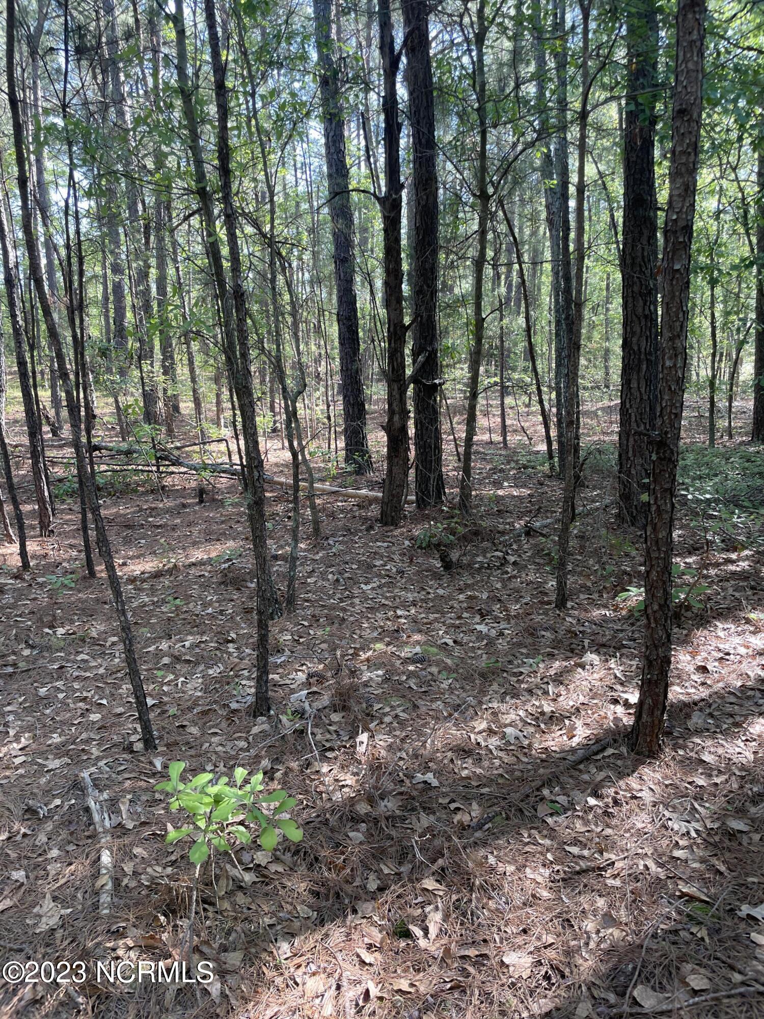 Tbd Tbd Mcfarland Road Laurel Hill, NC 28351 - Photo 12 of 41 Scotland_11.164_13