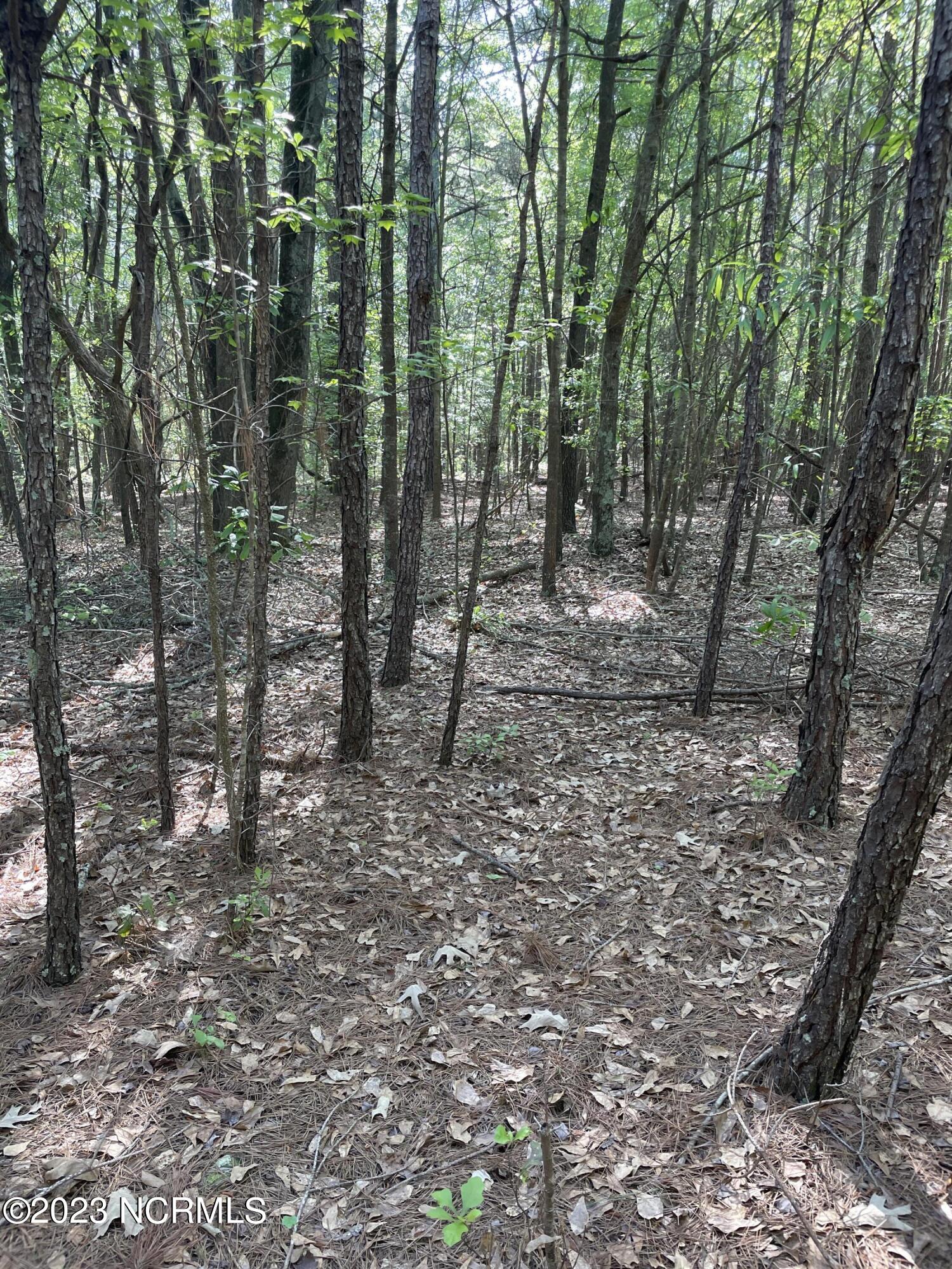 Tbd Tbd Mcfarland Road Laurel Hill, NC 28351 - Photo 13 of 41 Scotland_11.164_12