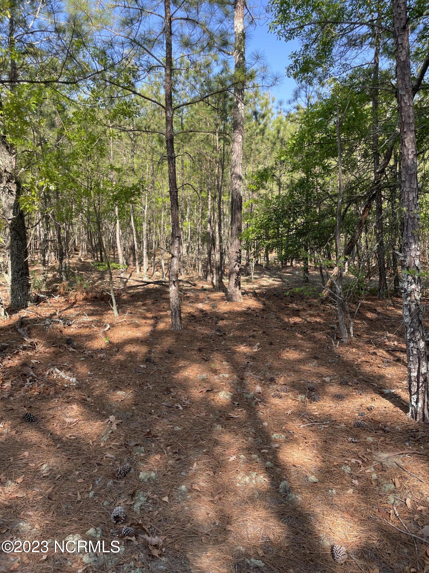 Tbd Tbd Mcfarland Road Laurel Hill, NC 28351 - Photo 15 of 41 Scotland_11.164_10