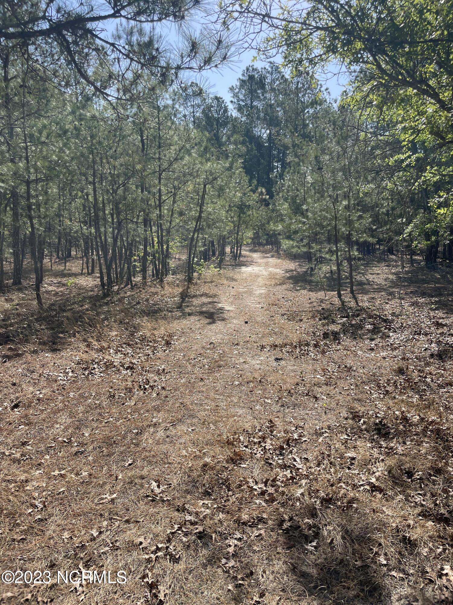 Tbd Tbd Mcfarland Road Laurel Hill, NC 28351 - Photo 16 of 41 Scotland_11.164_9